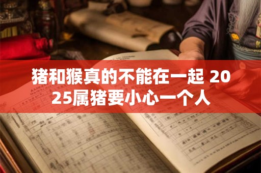猪和猴真的不能在一起 2025属猪要小心一个人