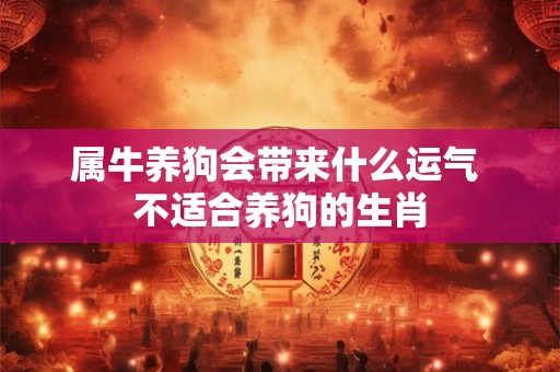 属牛养狗会带来什么运气 不适合养狗的生肖