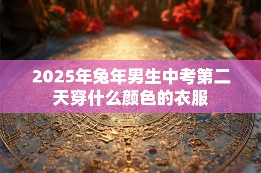 2025年兔年男生中考第二天穿什么颜色的衣服