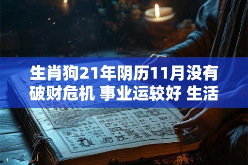 生肖狗21年阴历11月没有破财危机 事业运较好 生活充实