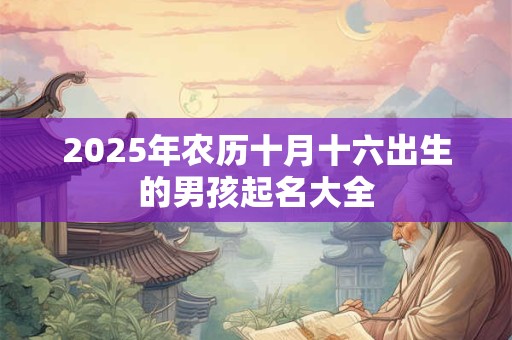 2025年农历十月十六出生的男孩起名大全