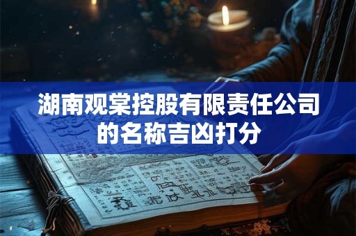 湖南观棠控股有限责任公司的名称吉凶打分