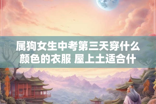 属狗女生中考第三天穿什么颜色的衣服 屋上土适合什么颜色