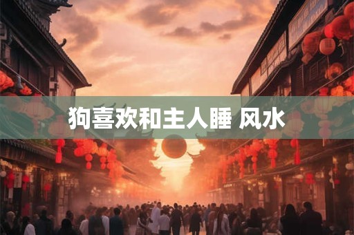 狗喜欢和主人睡 风水