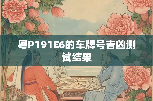 粤P191E6的车牌号吉凶测试结果