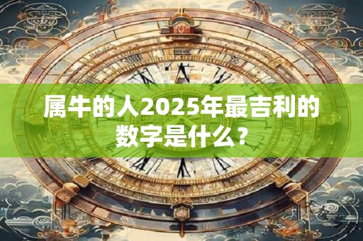 属牛的人2025年最吉利的数字是什么？