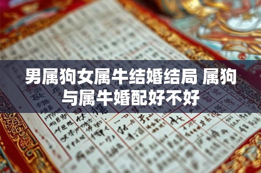 男属狗女属牛结婚结局 属狗与属牛婚配好不好
