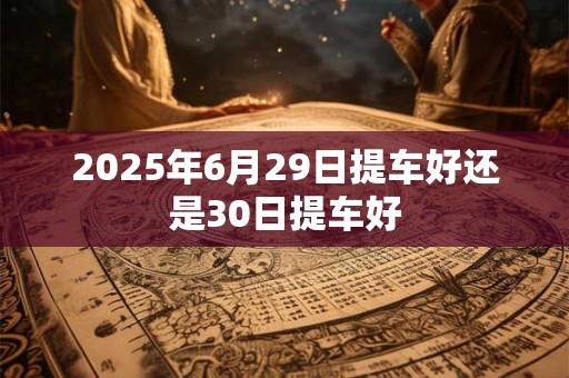 2025年6月29日提车好还是30日提车好
