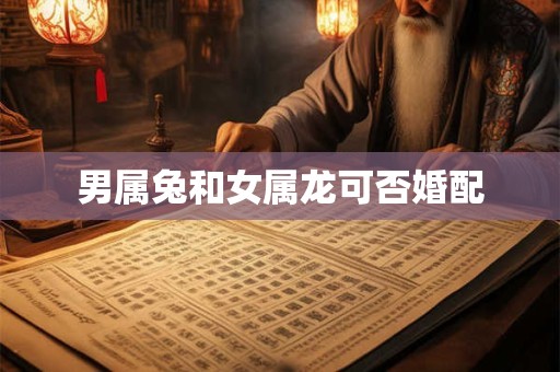 男属兔和女属龙可否婚配