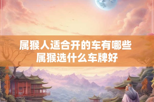 属猴人适合开的车有哪些 属猴选什么车牌好