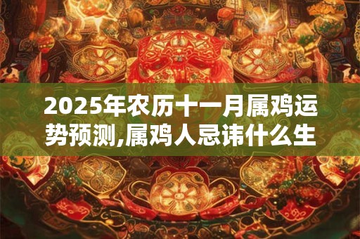 2025年农历十一月属鸡运势预测,属鸡人忌讳什么生肖？