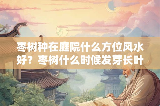 枣树种在庭院什么方位风水好？枣树什么时候发芽长叶？