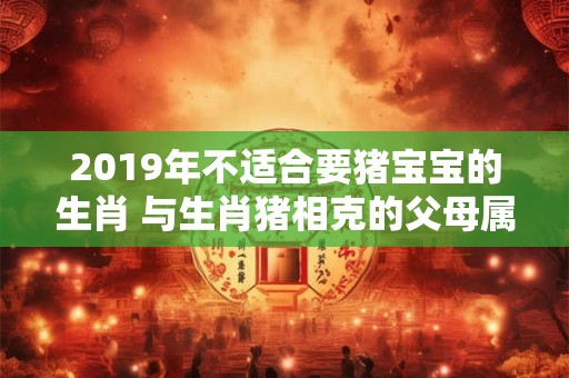 2019年不适合要猪宝宝的生肖 与生肖猪相克的父母属相