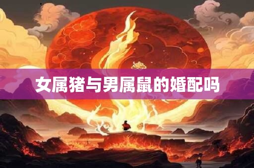 女属猪与男属鼠的婚配吗