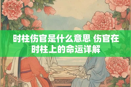 时柱伤官是什么意思 伤官在时柱上的命运详解