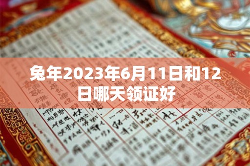 兔年2023年6月11日和12日哪天领证好