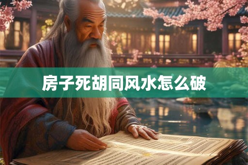 房子死胡同风水怎么破