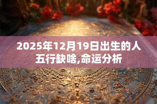 2025年12月19日出生的人五行缺啥,命运分析