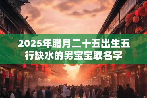 2025年腊月二十五出生五行缺水的男宝宝取名字