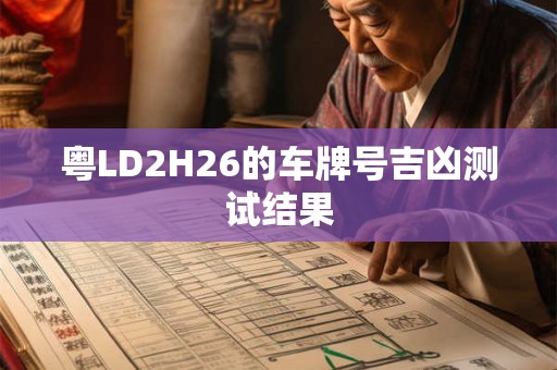 粤LD2H26的车牌号吉凶测试结果