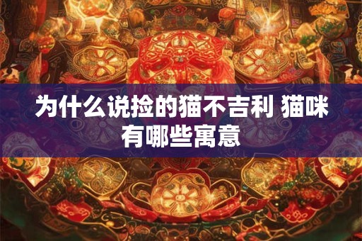 为什么说捡的猫不吉利 猫咪有哪些寓意