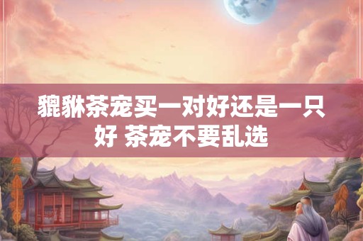 貔貅茶宠买一对好还是一只好 茶宠不要乱选