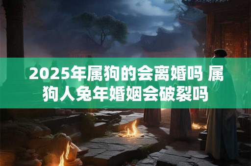 2025年属狗的会离婚吗 属狗人兔年婚姻会破裂吗