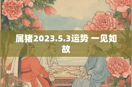 属猪2023.5.3运势 一见如故
