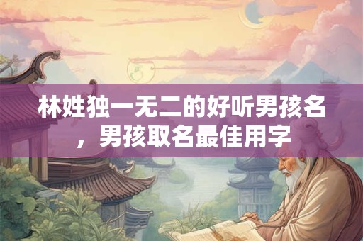 林姓独一无二的好听男孩名，男孩取名最佳用字