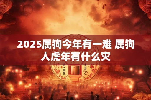 2025属狗今年有一难 属狗人虎年有什么灾