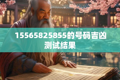 15565825855的号码吉凶测试结果