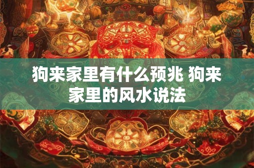 狗来家里有什么预兆 狗来家里的风水说法