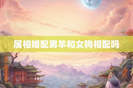 属相婚配男羊和女狗相配吗