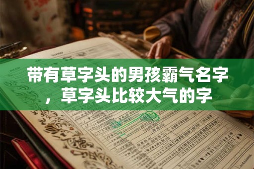 带有草字头的男孩霸气名字，草字头比较大气的字