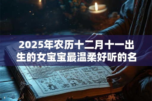 2025年农历十二月十一出生的女宝宝最温柔好听的名字