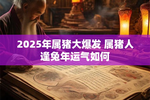 2025年属猪大爆发 属猪人逢兔年运气如何