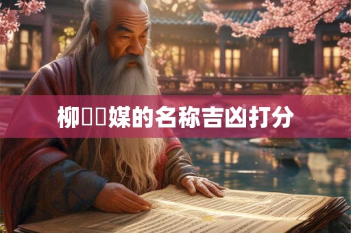 柳視傳媒的名称吉凶打分