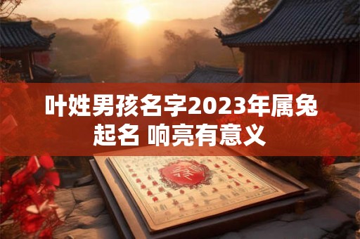 叶姓男孩名字2023年属兔起名 响亮有意义