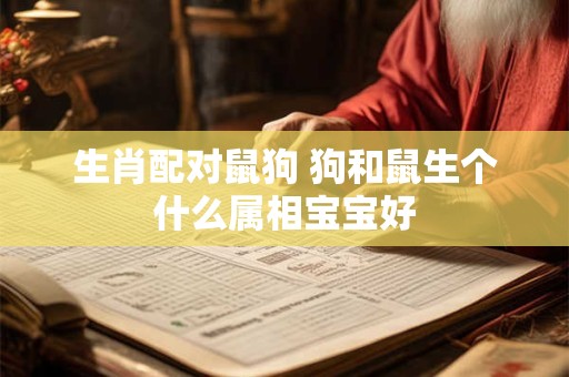 生肖配对鼠狗 狗和鼠生个什么属相宝宝好