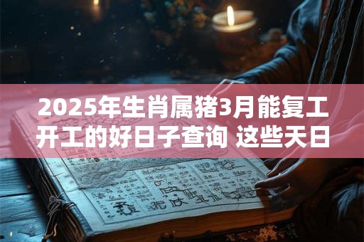 2025年生肖属猪3月能复工开工的好日子查询 这些天日子吉利