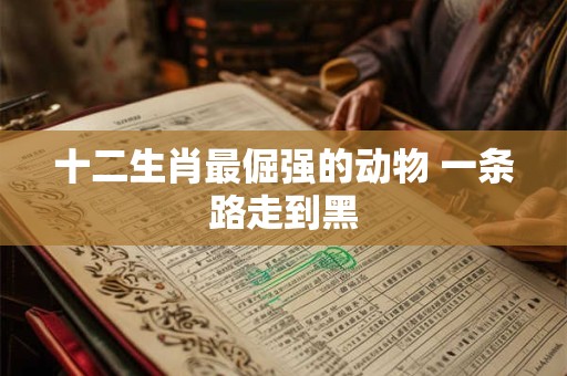 十二生肖最倔强的动物 一条路走到黑