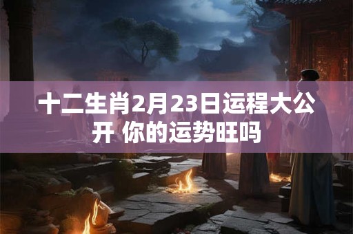 十二生肖2月23日运程大公开 你的运势旺吗