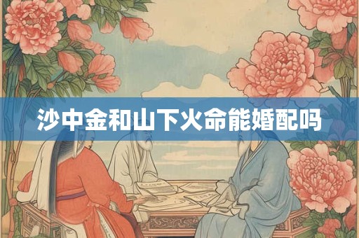 沙中金和山下火命能婚配吗
