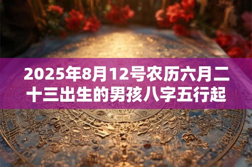 2025年8月12号农历六月二十三出生的男孩八字五行起名字