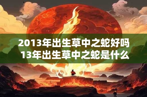 2013年出生草中之蛇好吗 13年出生草中之蛇是什么命