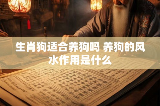 生肖狗适合养狗吗 养狗的风水作用是什么