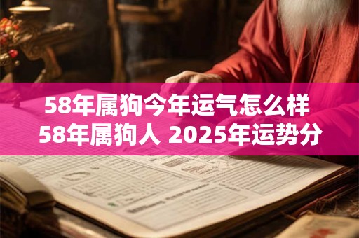 58年属狗今年运气怎么样 58年属狗人 2025年运势分析
