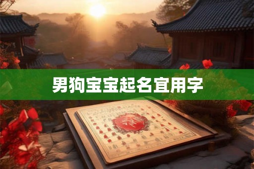 男狗宝宝起名宜用字