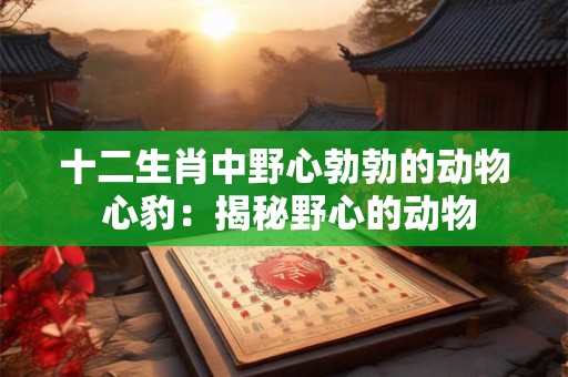 十二生肖中野心勃勃的动物 心豹：揭秘野心的动物
