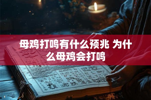 母鸡打鸣有什么预兆 为什么母鸡会打鸣